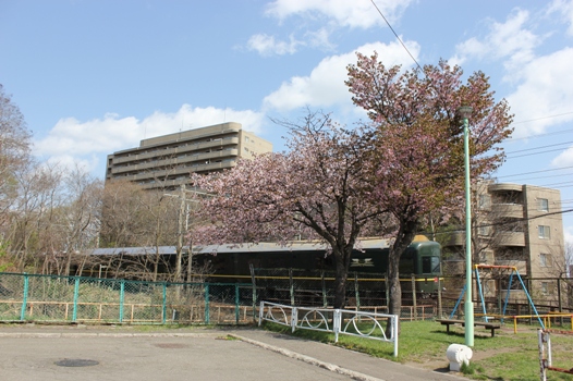 桜とトワイライトエクスプレス03.jpg