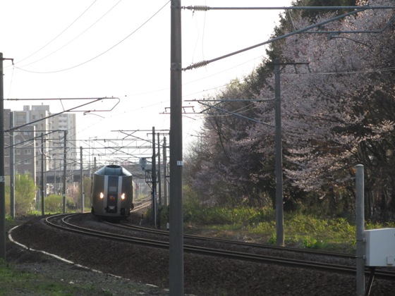 桜と鉄道002.jpg