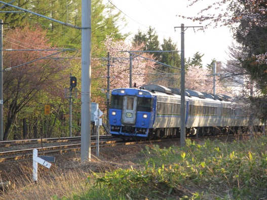 桜と鉄道003.jpg