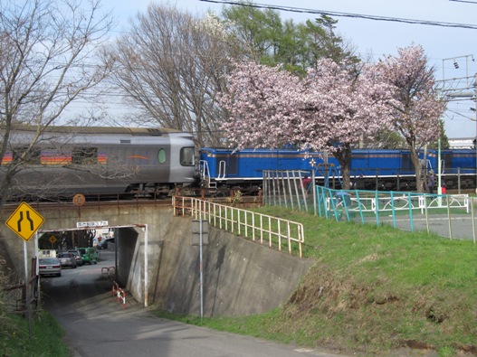 桜と鉄道006.jpg