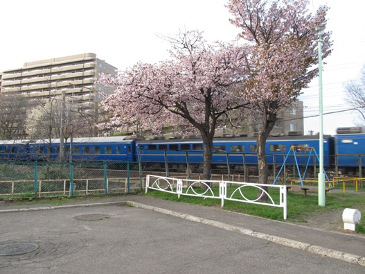 桜と鉄道009.jpg