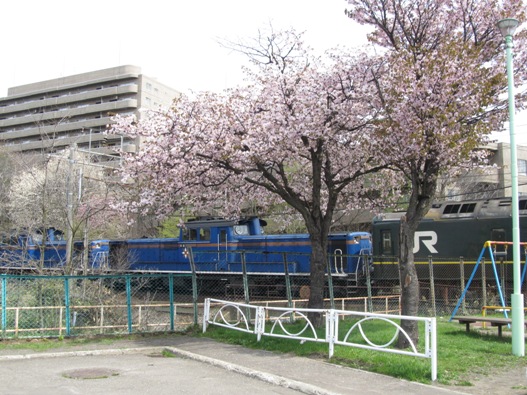 桜と鉄道010.jpg