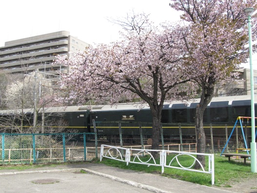 桜と鉄道011.jpg