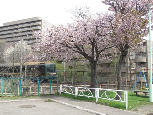桜と鉄道012.jpg