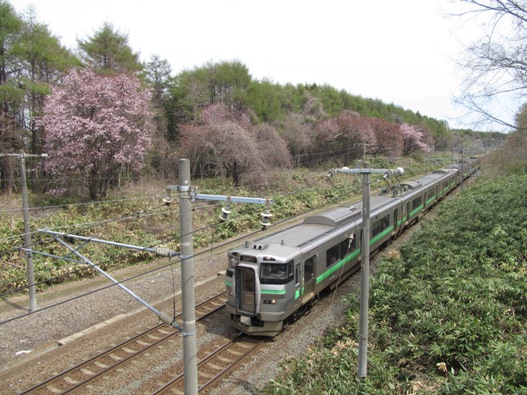 桜と鉄道013.jpg
