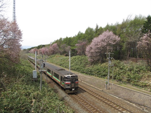 桜と鉄道014.jpg