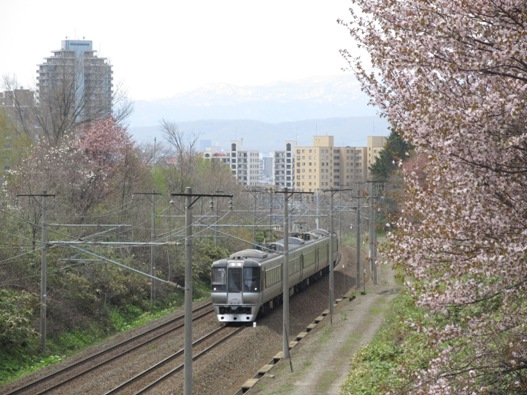 桜と鉄道015.jpg