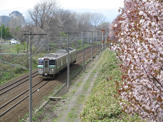桜と鉄道018.jpg