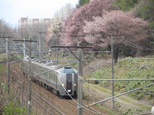 桜と鉄道019.jpg