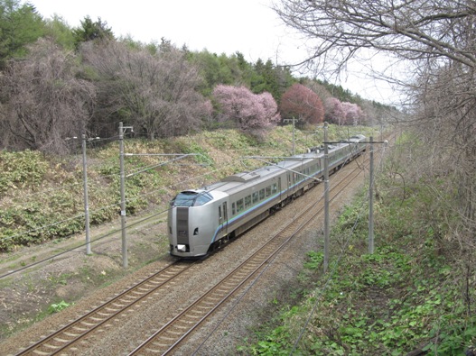 桜と鉄道020.jpg
