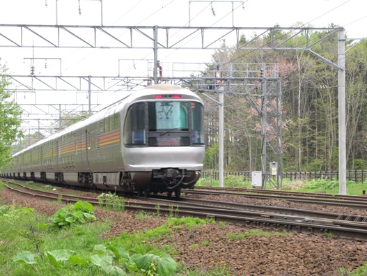 桜と鉄道024.jpg