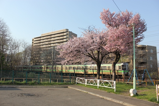 青葉台公園の桜と快速エアポート02.jpg
